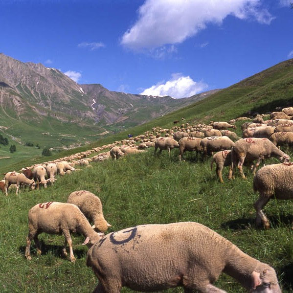 Au plus haut de l’été